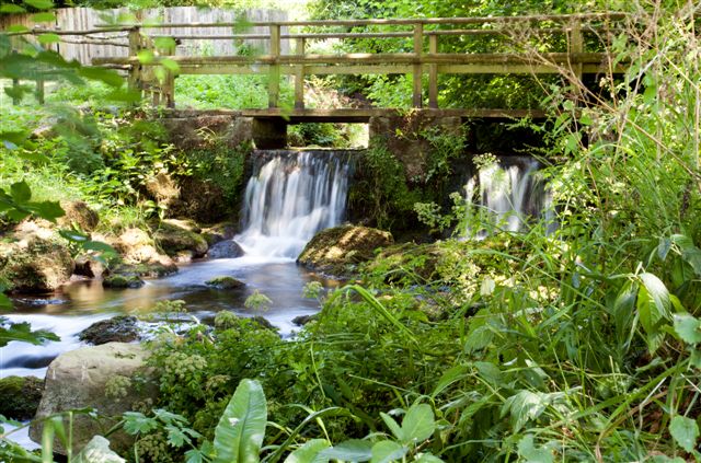 Bridge over stream