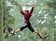 Go Ape high level ropes